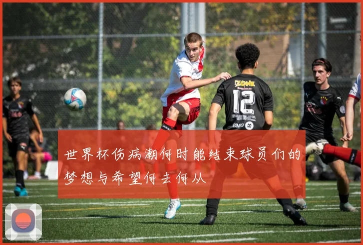 世界杯伤病潮何时能结束球员们的梦想与希望何去何从