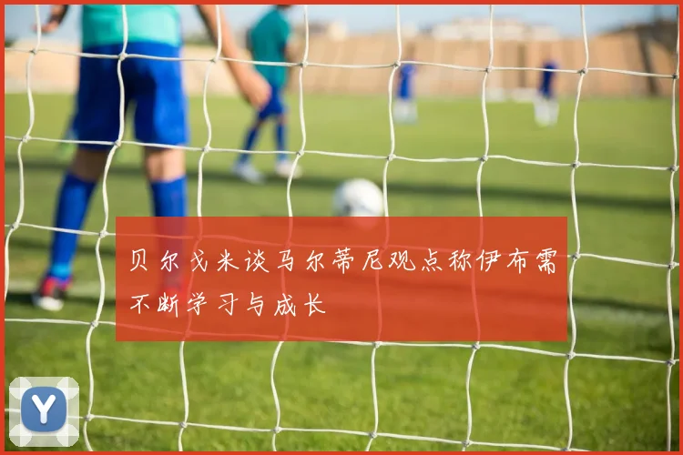 贝尔戈米谈马尔蒂尼观点称伊布需不断学习与成长